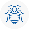 Bed Bug Extermination In Oadby