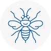 Oadby Hornet Nest Removals