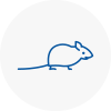Mice Exterminators In Oadby
