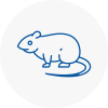 Rat Control Oadby