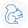 Oadby Rodent Removals